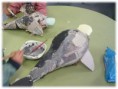 /album/pintamos-delfines/pintar-2-jpg/
